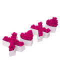 Le Mini XOXO Gift Set