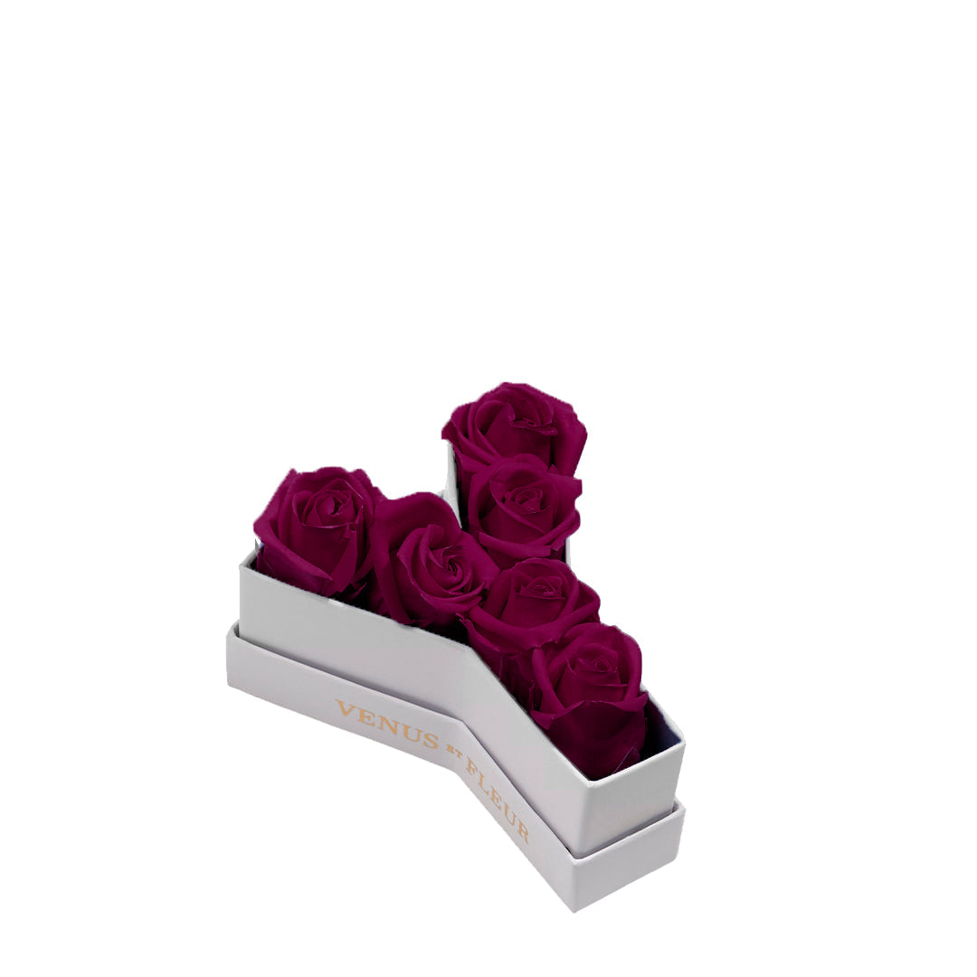 Le Mini Letter - Y