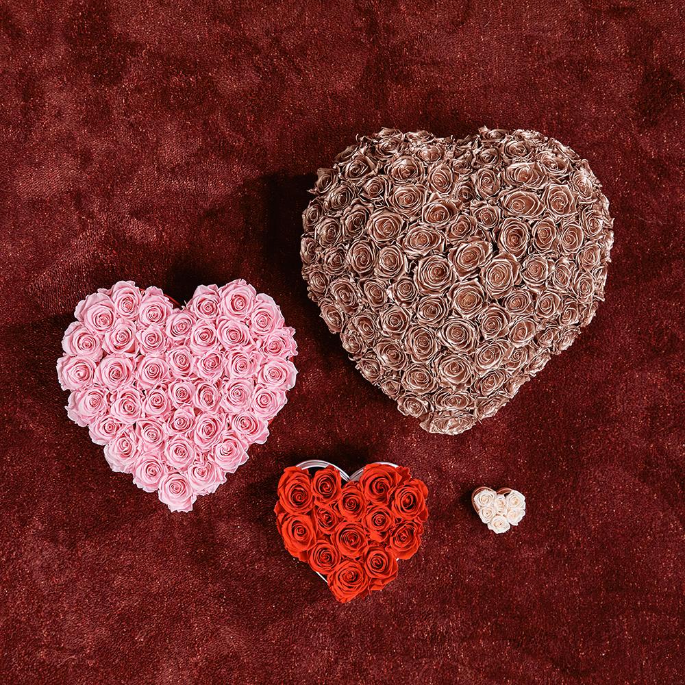Le Plein Heart