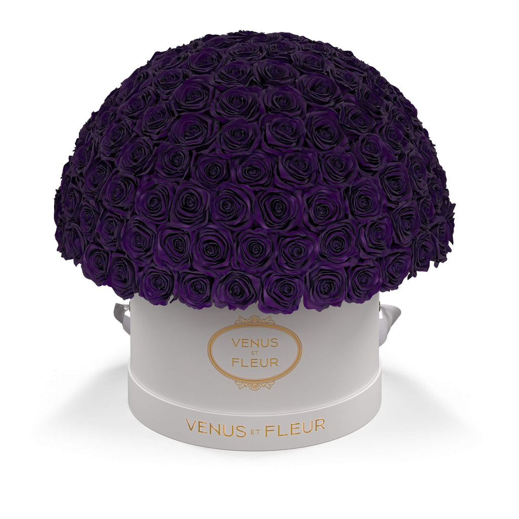 Large Le Plein