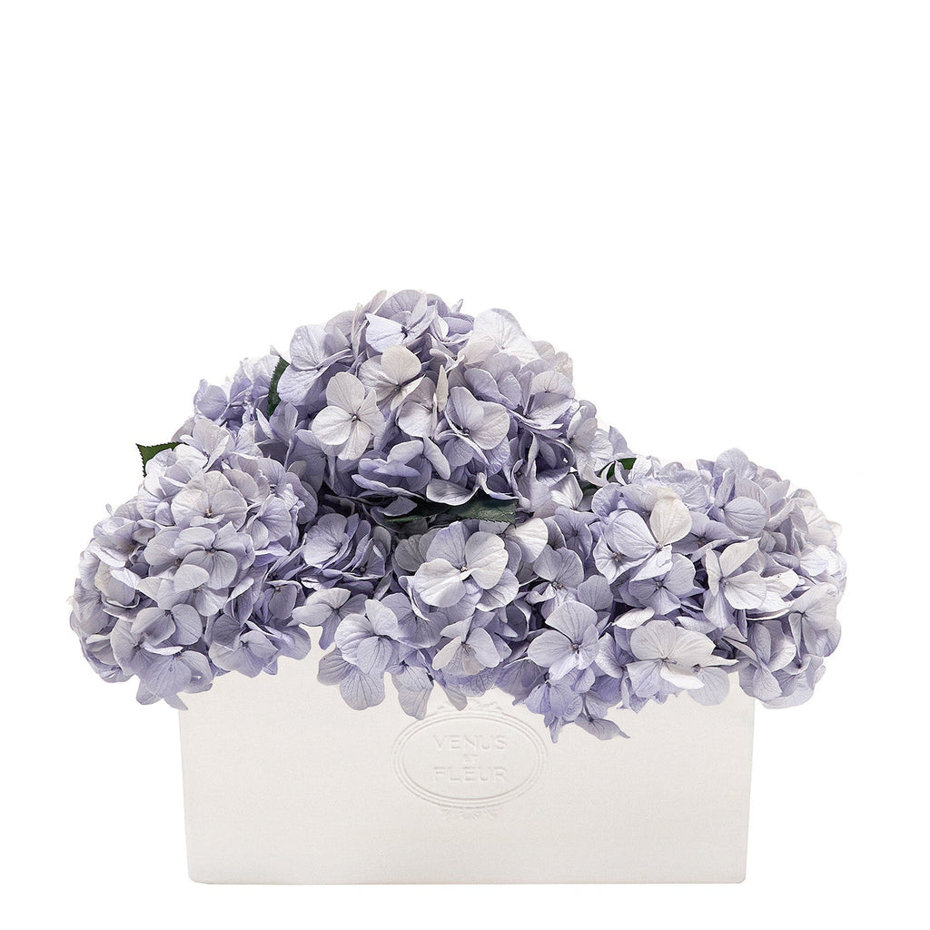 Serene Porcelain Vase