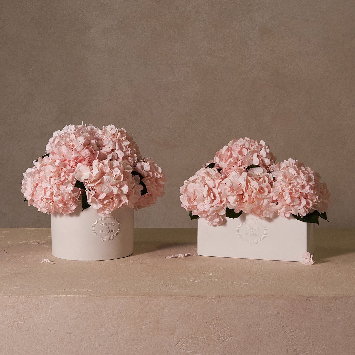 Serene Porcelain Vase