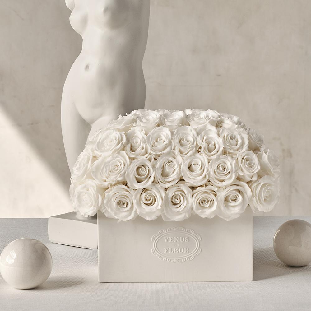 Serene Porcelain Vase