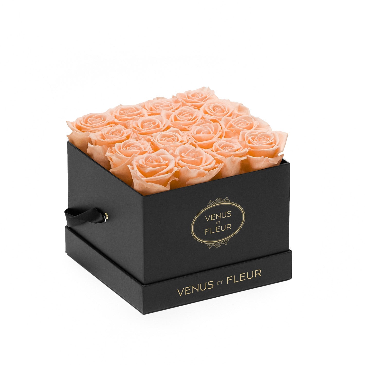 Small Square