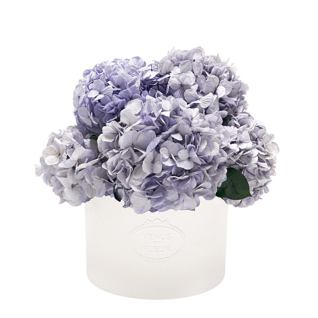 Thalia Porcelain Vase