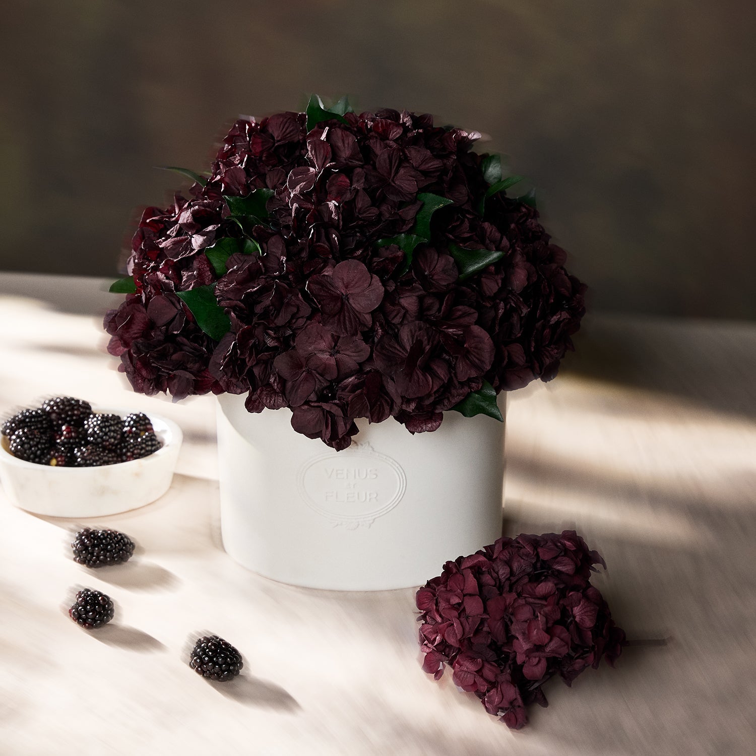 Thalia Porcelain Vase