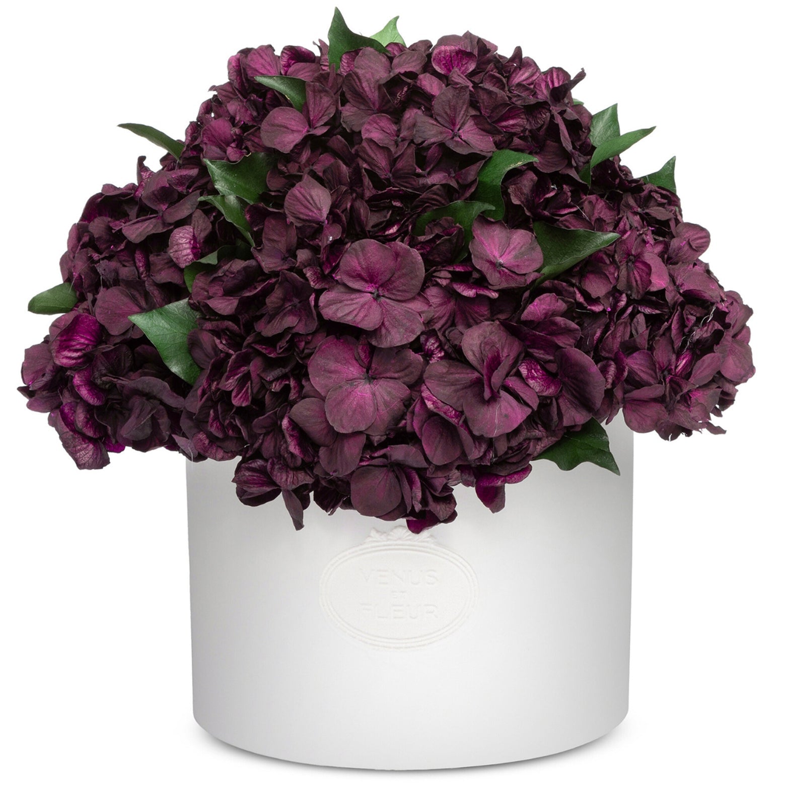 Thalia Porcelain Vase