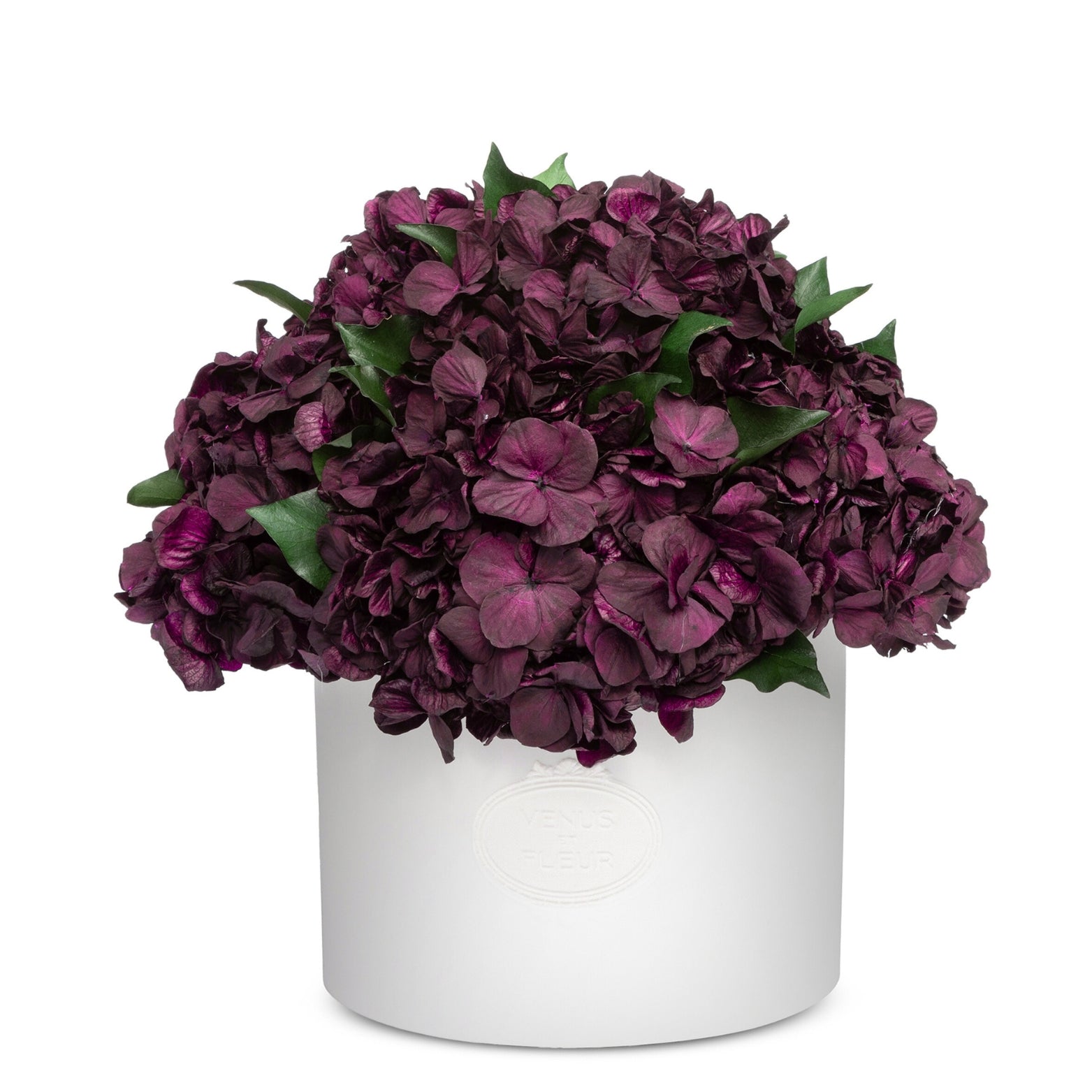 Thalia Porcelain Vase