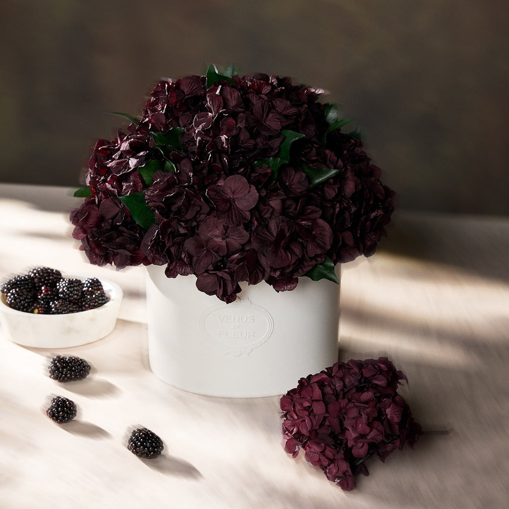 Thalia Porcelain Vase